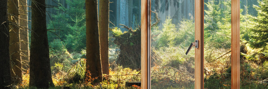 Wood Windows