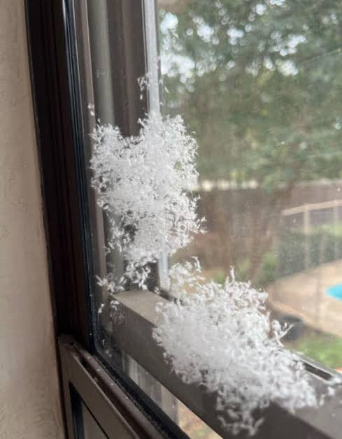frost forming inside windows